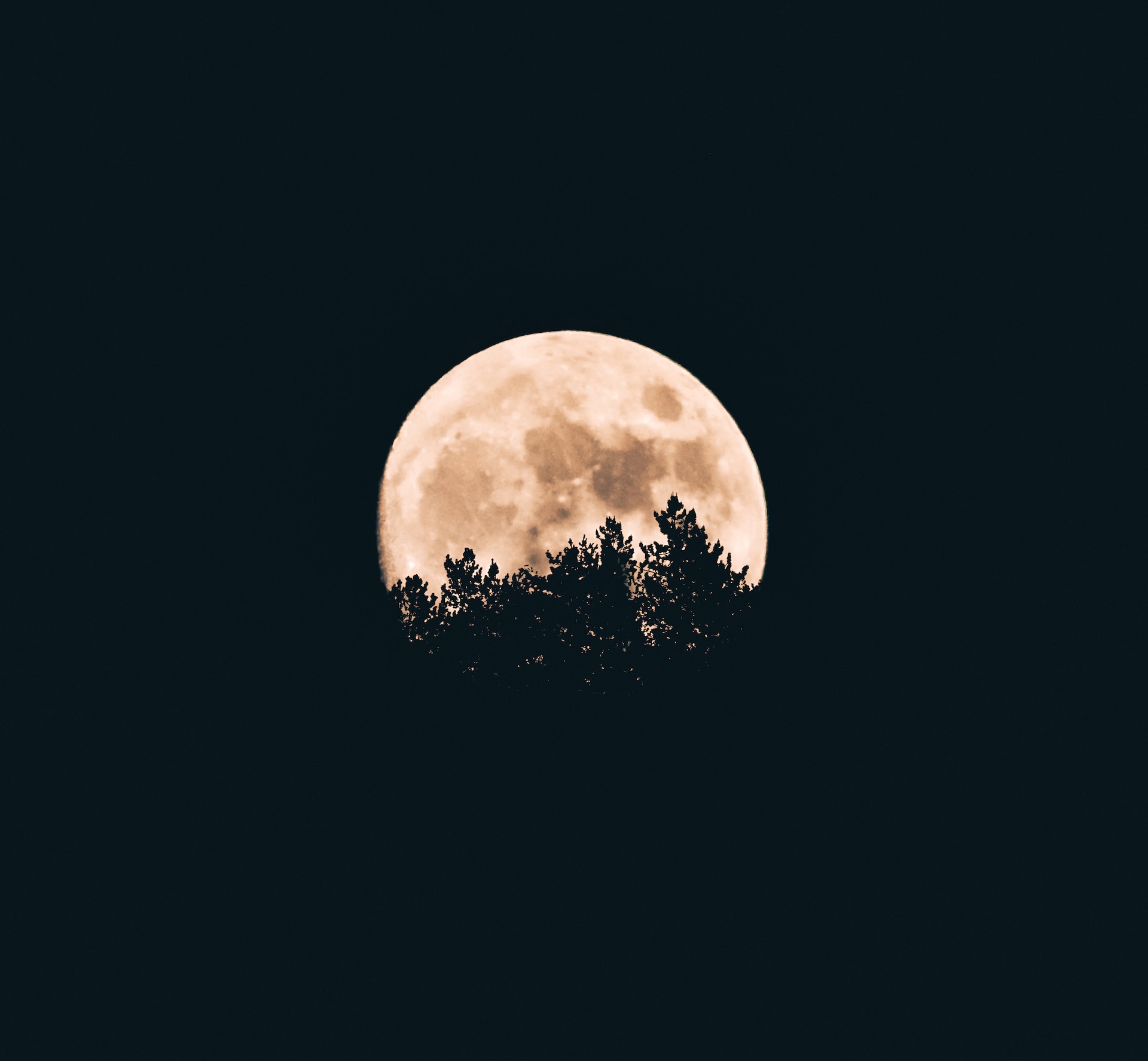 @aronvisuals | Unsplash